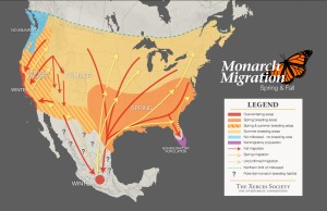 map of monarch migration